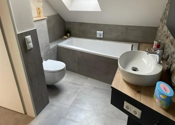 Zimmermanns 2 蒙绍