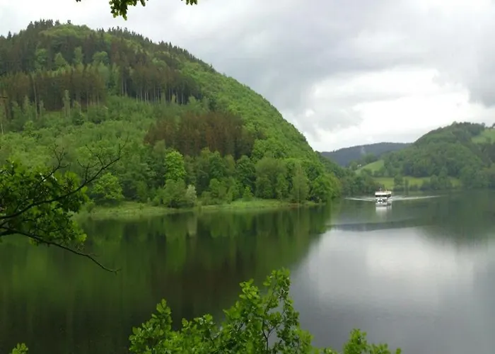 Zimmermanns 2 * 蒙绍