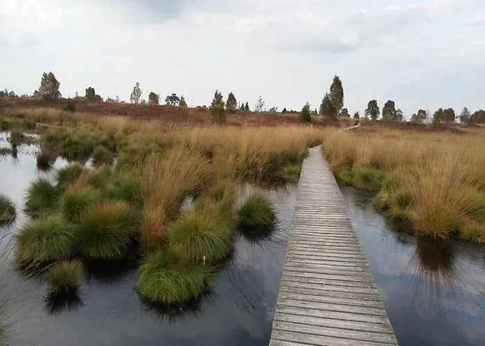 Zimmermanns 2 蒙绍