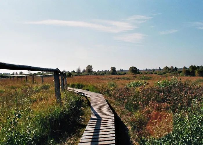 Zimmermanns 2 公寓 蒙绍